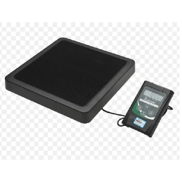 《13-1》EW 電子攜帶秤_141